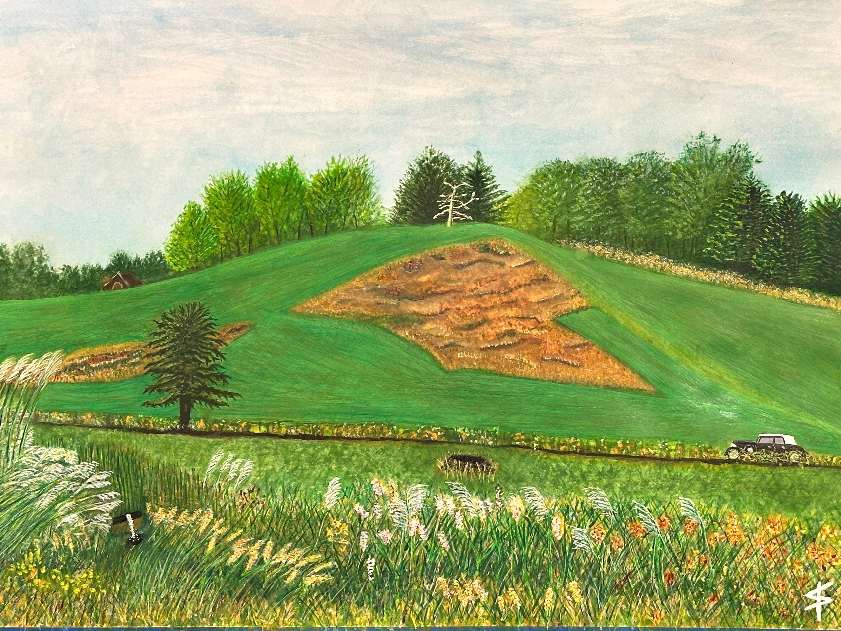 Wild Flowers at Kuerner Farm